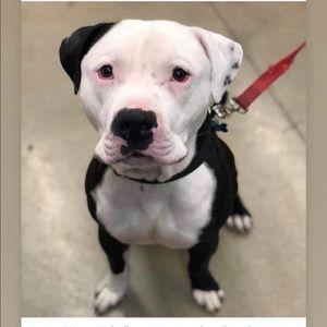 Meet your Posher, Carlos